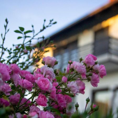 A House, Free Parking, Sauna Koprivnica Ngoại thất bức ảnh