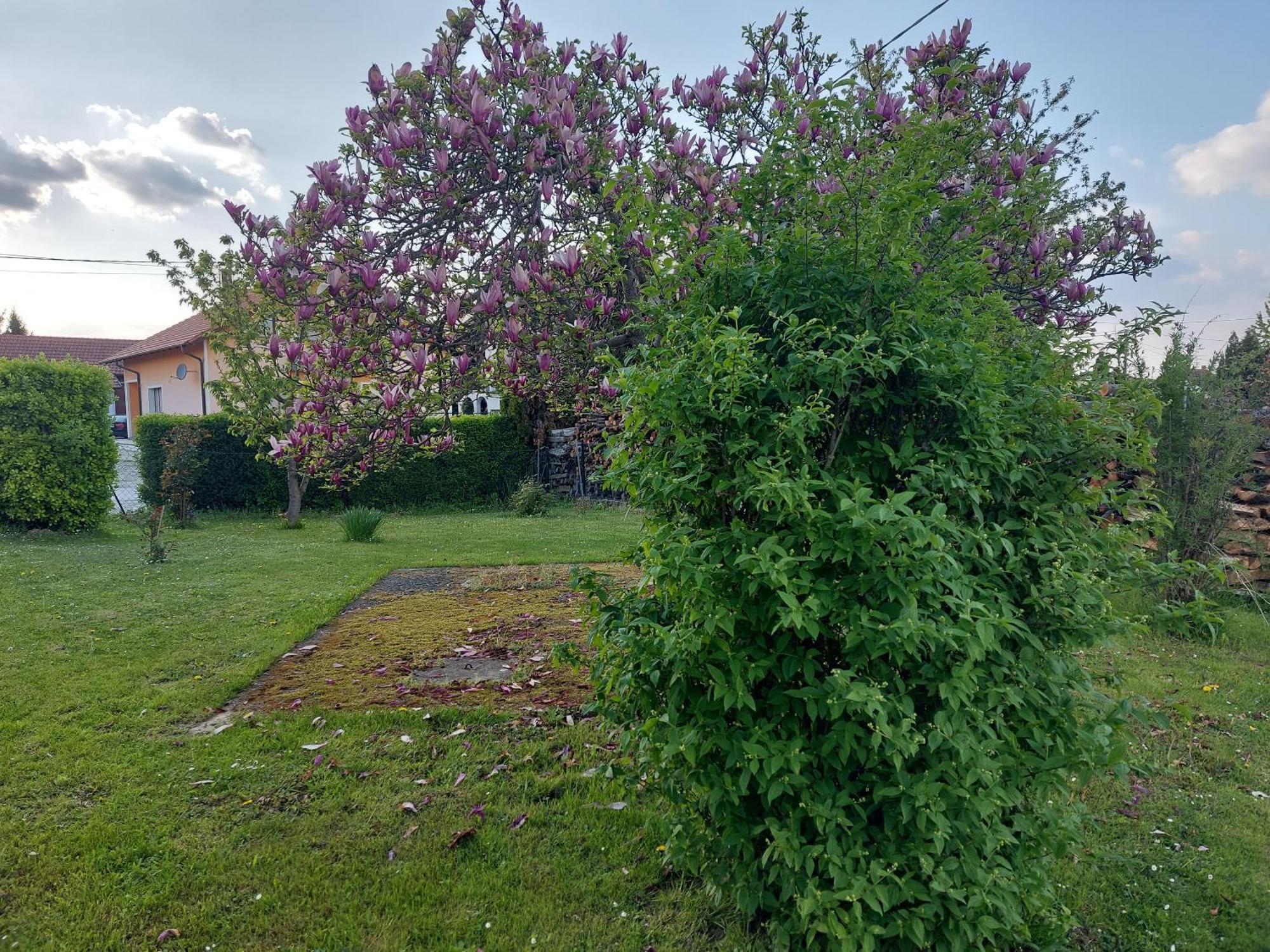 A House, Free Parking, Sauna Koprivnica Ngoại thất bức ảnh